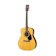 Yamaha Music Manufacturing Indonesia Yamaha Acoustic Folk 1