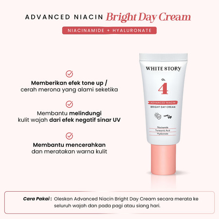 Natura Deca Kosmetika White Story Advanced Niacin Bright Day Cream