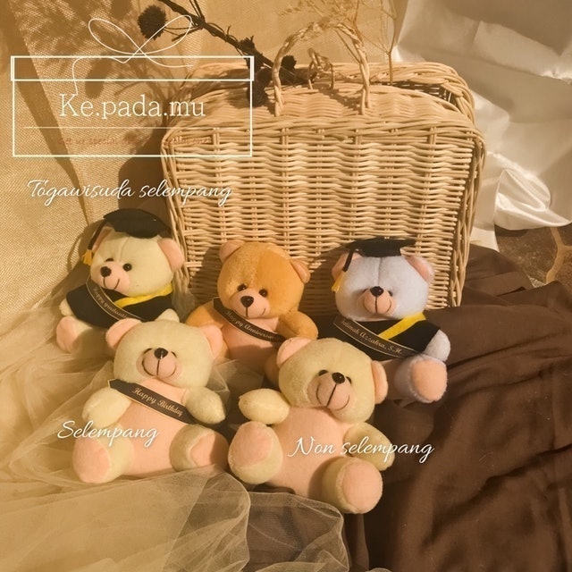 Gift bear and med bouquet  3