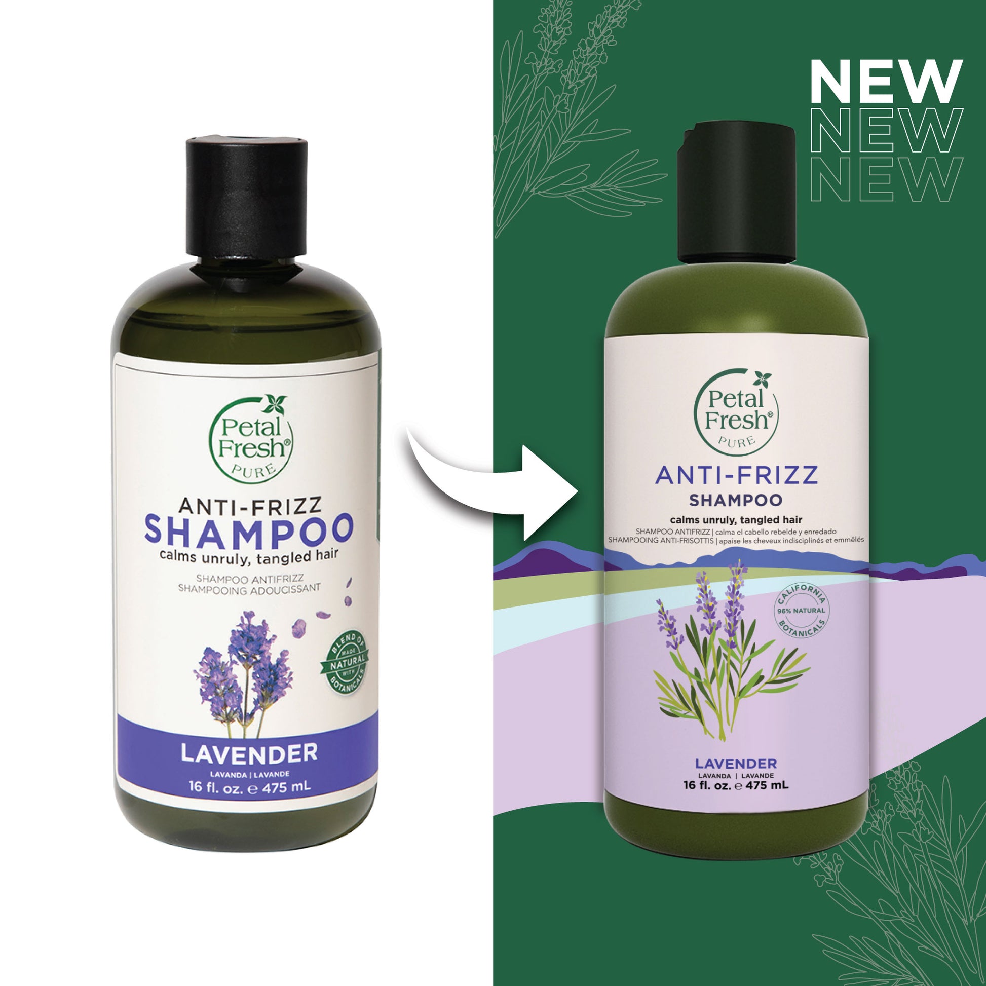 Petal Fresh Pure Anti-Frizz Shampoo with Lavender 3