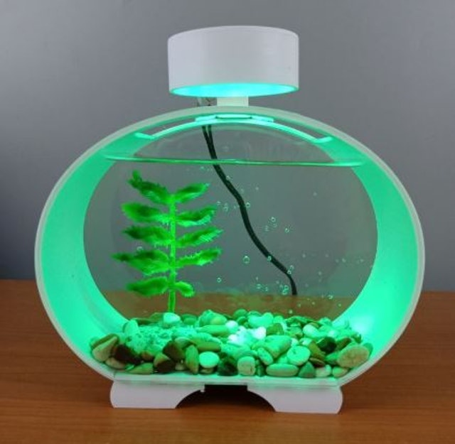 Akuarium Akrilik Mini Ikan Cupang Solitare 2