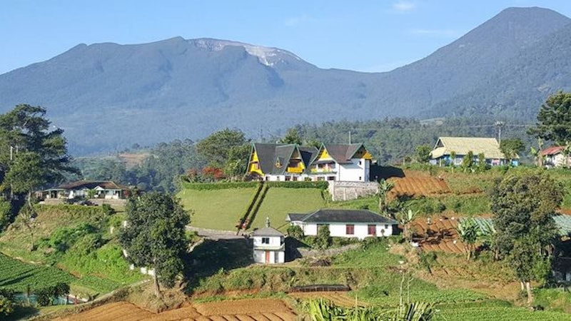 Puncak Inn Resort Hotel 5