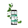 Rosplay Rosplay Natural Deodorant Spray Tawas Original 1