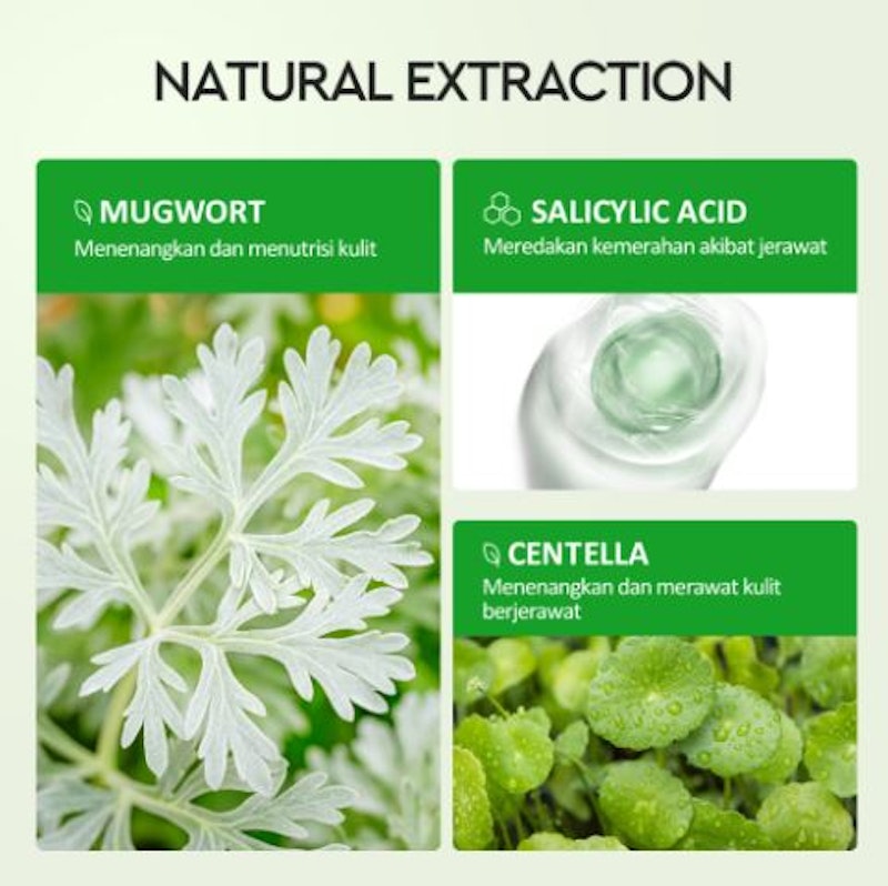 Mugwort Clay Mask Stick 5