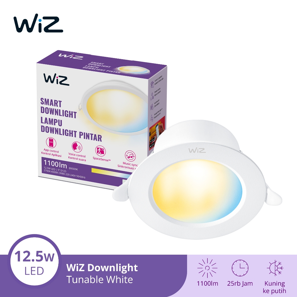 Signify WiZ Smart Downlight Tunable White 12,5W