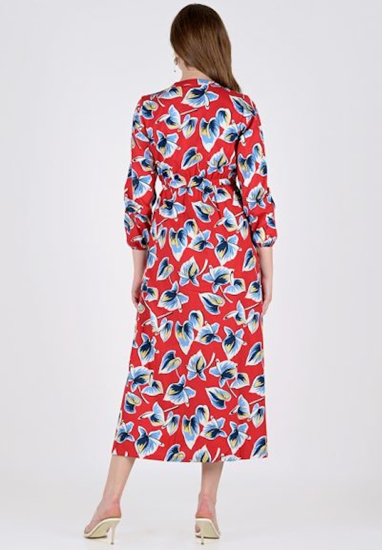 LeRosetz - Printed Etro Dress 4