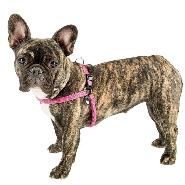 Ferplast Agila Sport 2