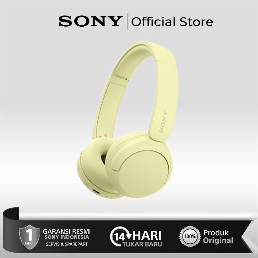 Sony Group Corporation Sony On Ear Wireless Headphones WH-CH520