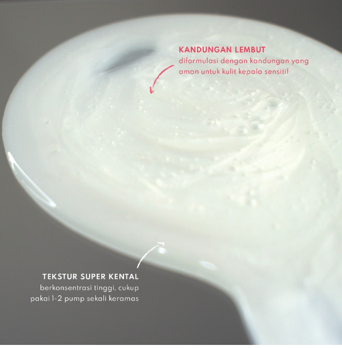 Beamarry Indonesia Makmur Beamarry New York Macadamia Argan Smooth Shampoo