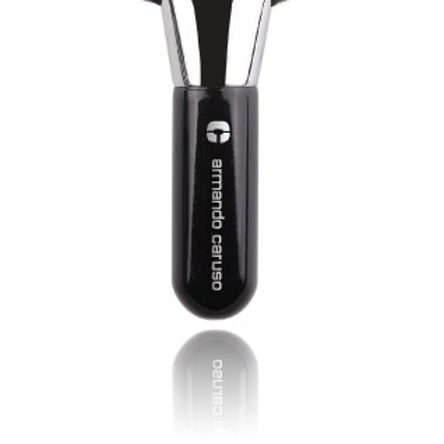 Deluxe Fan Brush 2