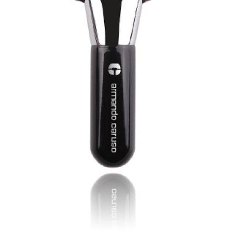 Deluxe Fan Brush 2
