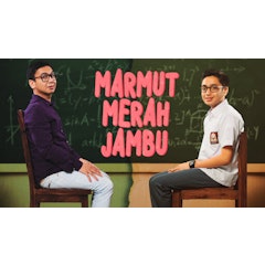 Marmut Merah Jambu