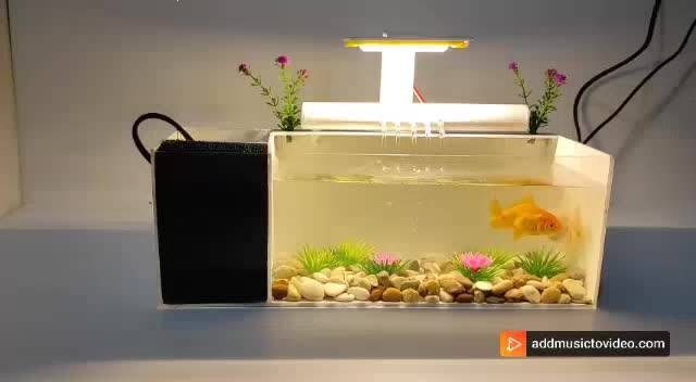 Akuarium Mini Akrilik Fullset 2