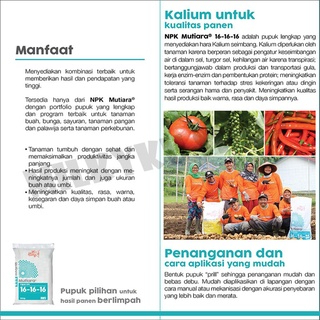 Meroke Tetap Jaya Mutiara Pupuk NPK 16-16-16