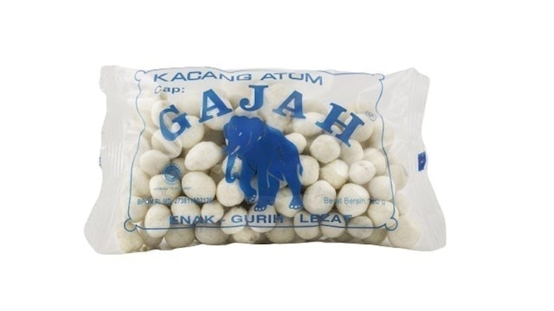 Kacang Atom Gajah 1