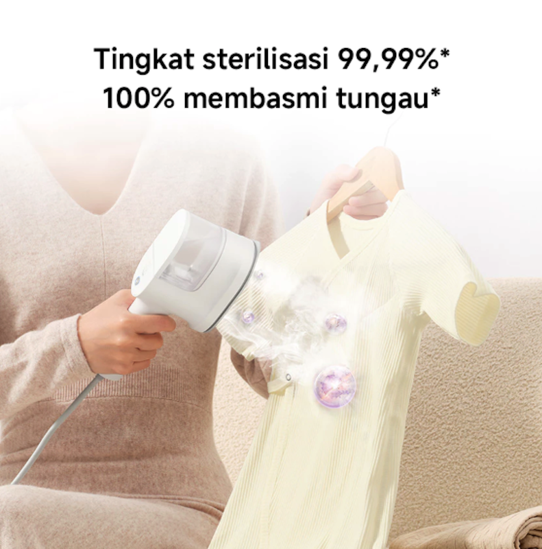 Handheld Steam Iron 3
