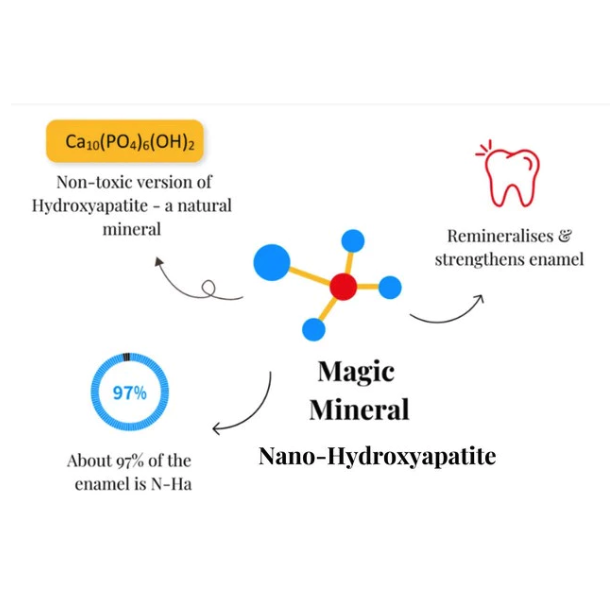 Green Mommy Green Mommy Shop Adult Natural Toothpaste