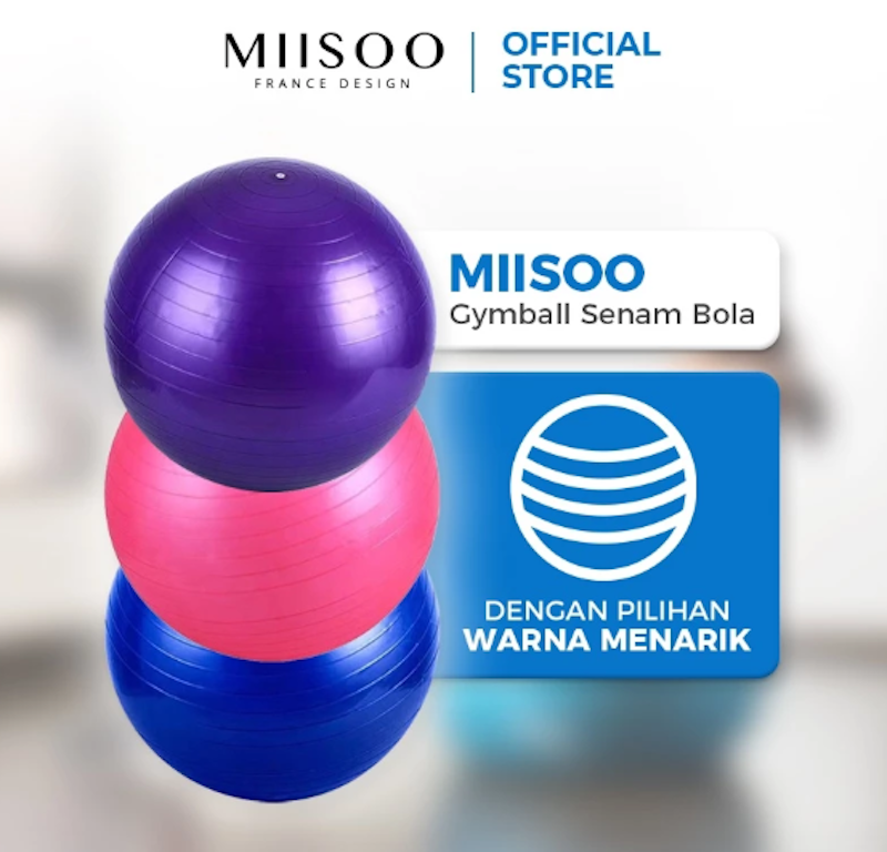 MIISOO Gym Ball 3