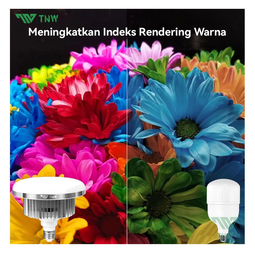 TNW Softbox Lighting  5070