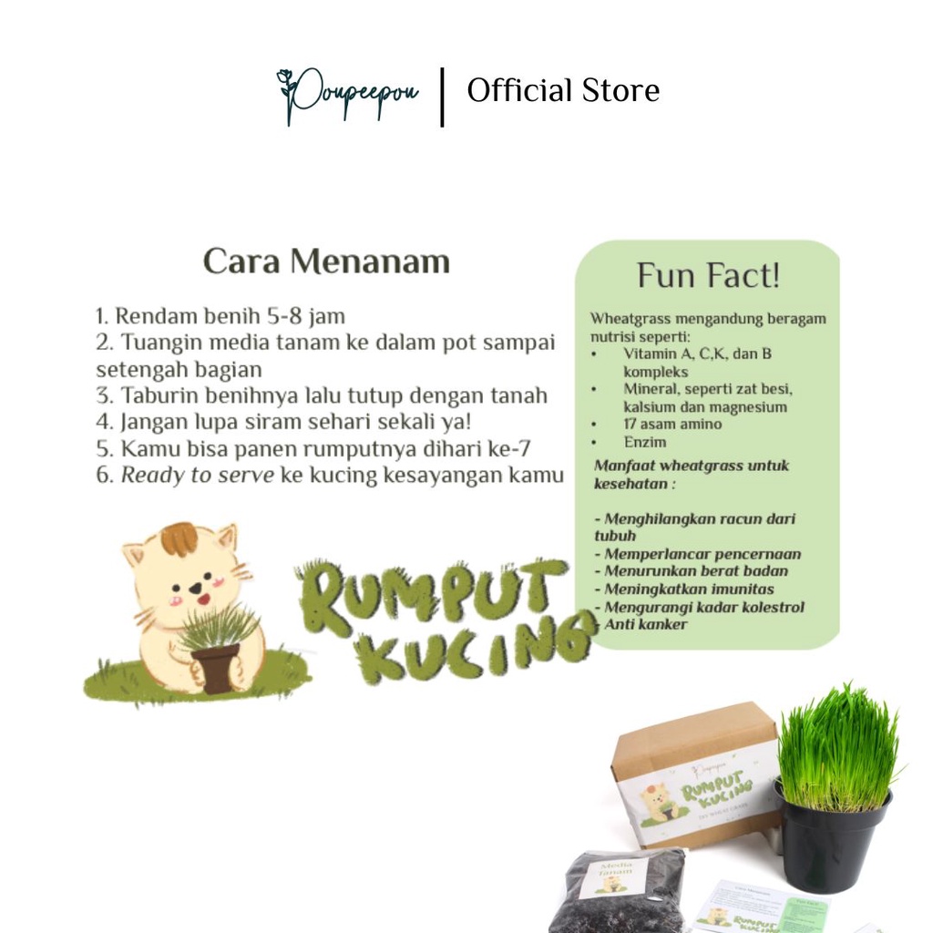 Poupeepou - Biji Rumput Kucing DIY 5