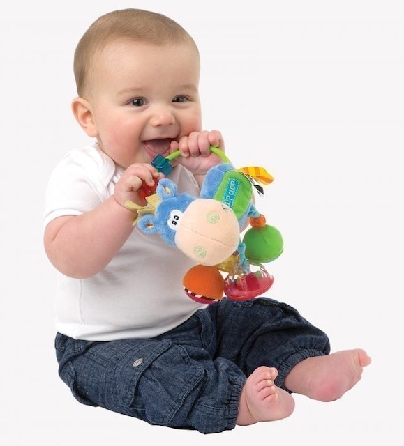 Playgro Clip Clop Activity Rattle