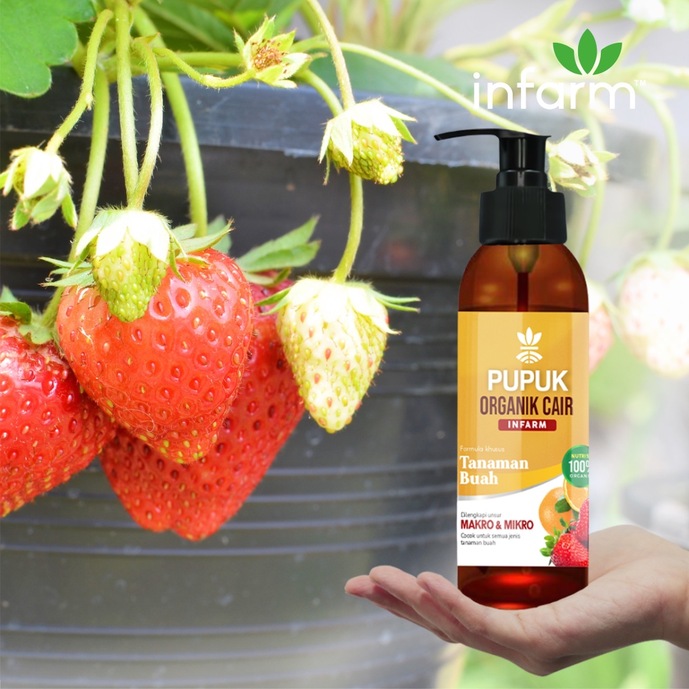 Infarm Pupuk Organik Cair Tanaman Buah