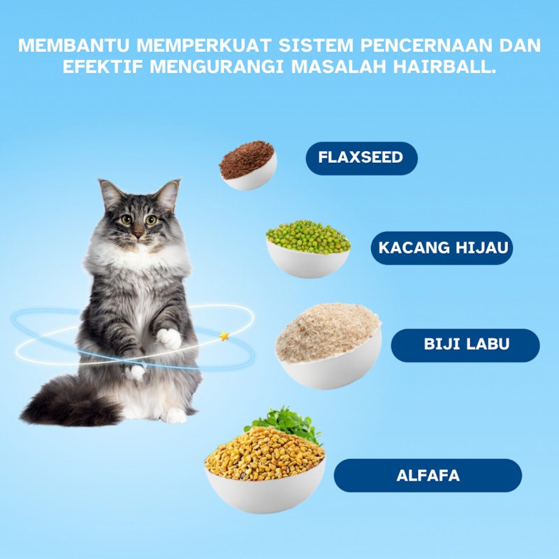 MR.VET Doctor Said Eat MR.VET! Digestion Care T1