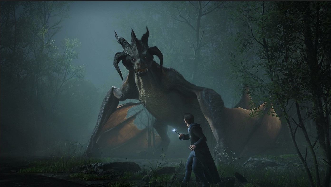 Warner Bros. Interactive Hogwarts Legacy 