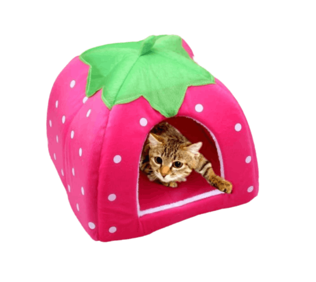 Foldable Strawberry Bed Pet