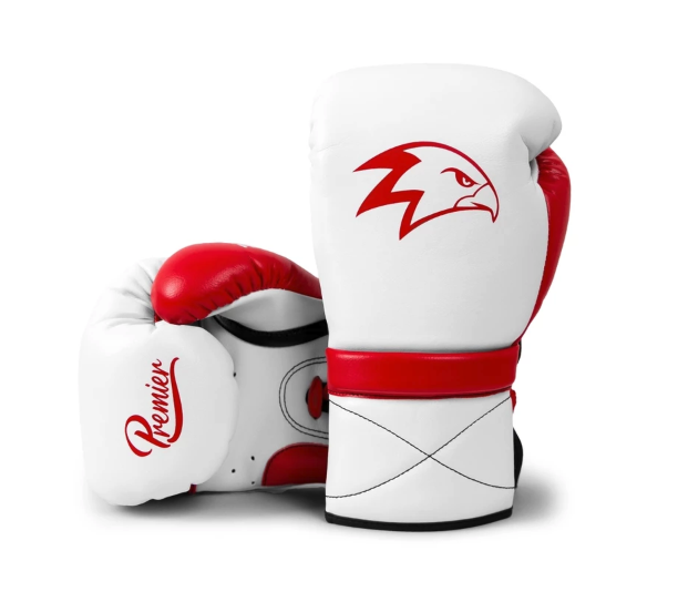 Hawkeye Fightwear Premier Boxing Gloves 1