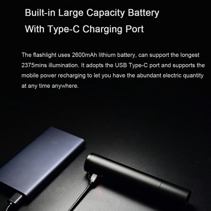 BEEBULL Engineering Beebest Flashlight FZ101