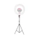null Armando Caruso Portable Ring Light 1
