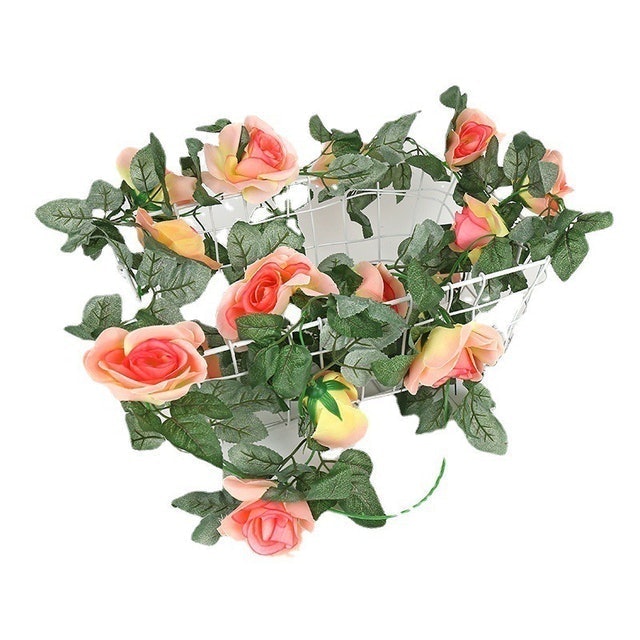 Bunga Rambat Mawar Dekorasi Tanaman Hias