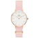 Daniel Wellington Petite Rosewater 1
