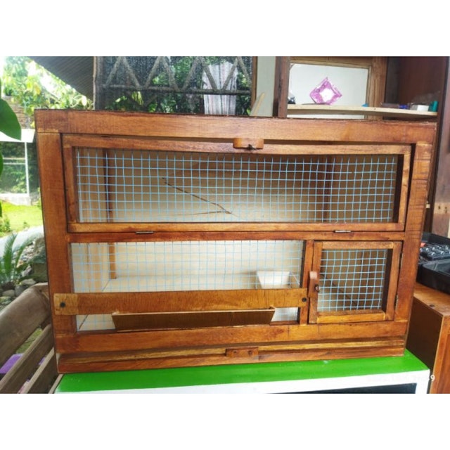  Kandang Anak Ayam Petelur DOC