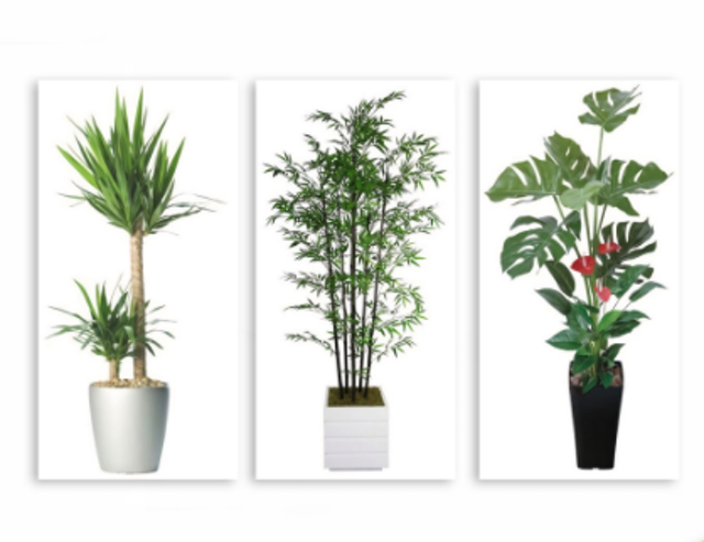 Hiasan Dinding Ruang Tamu