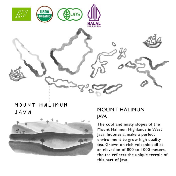 Mata Gunung Altazor East Java & Co Organic Oolong Tea