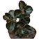 null Tanaman Gantung Peperomia Black Metalic 1