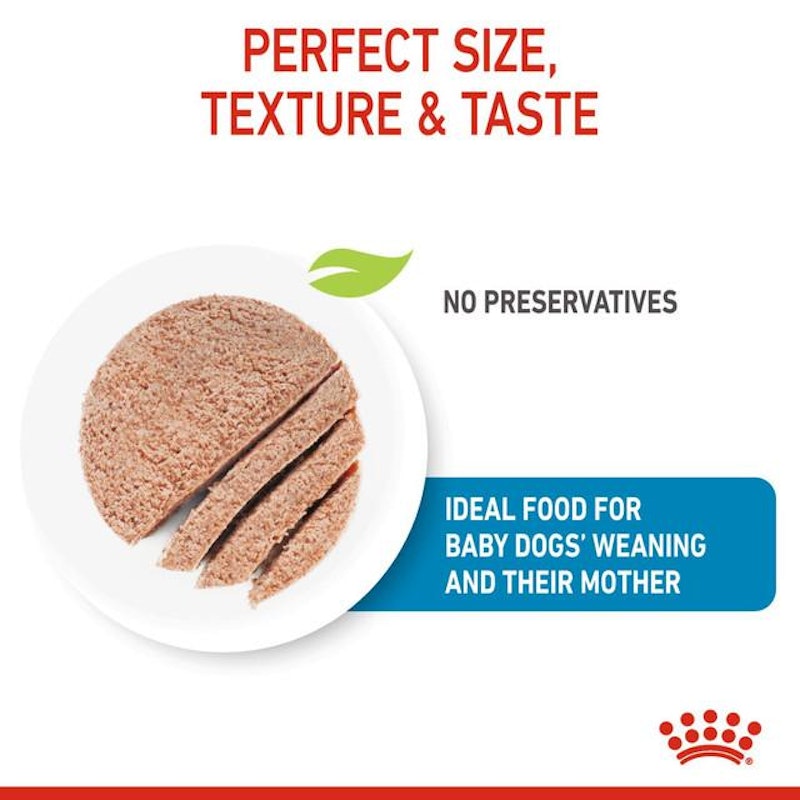 ROYAL CANIN® Starter Mousse Mother & Babydog