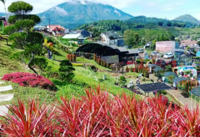 Wisata Taman Kelinci 4
