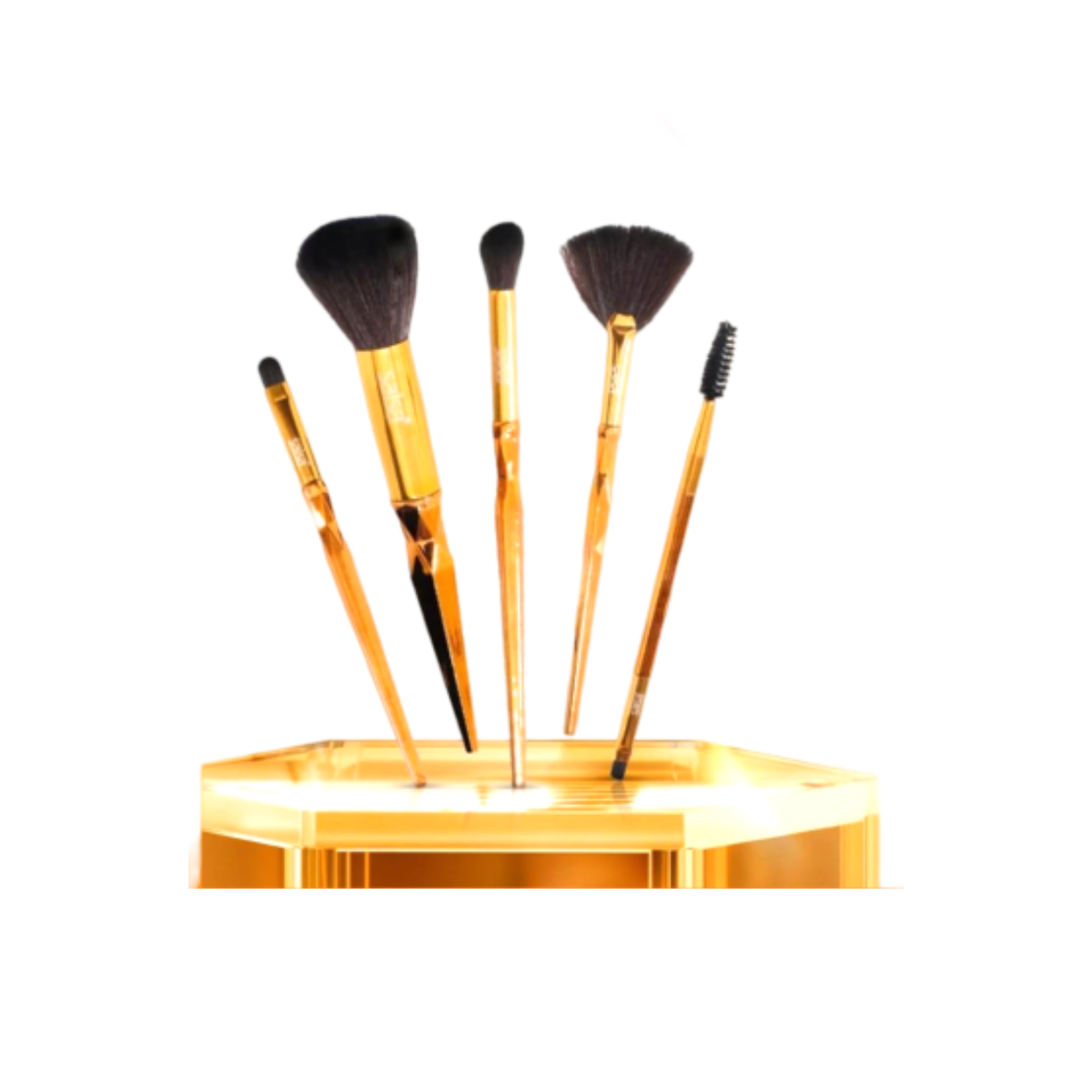 SALSA® Abrakada Brush Set