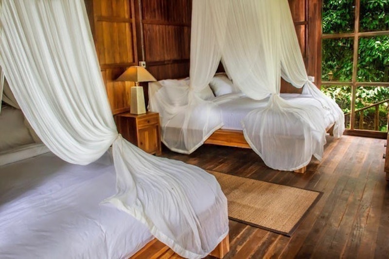 Bali Jungle Camping 4
