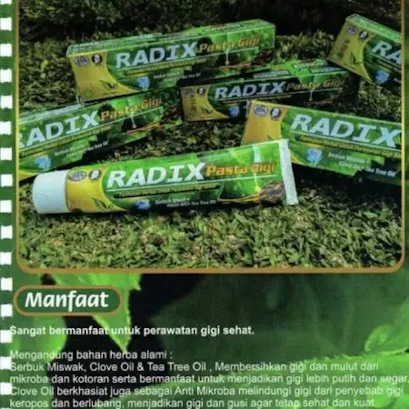 RADIX Pasta Gigi 3