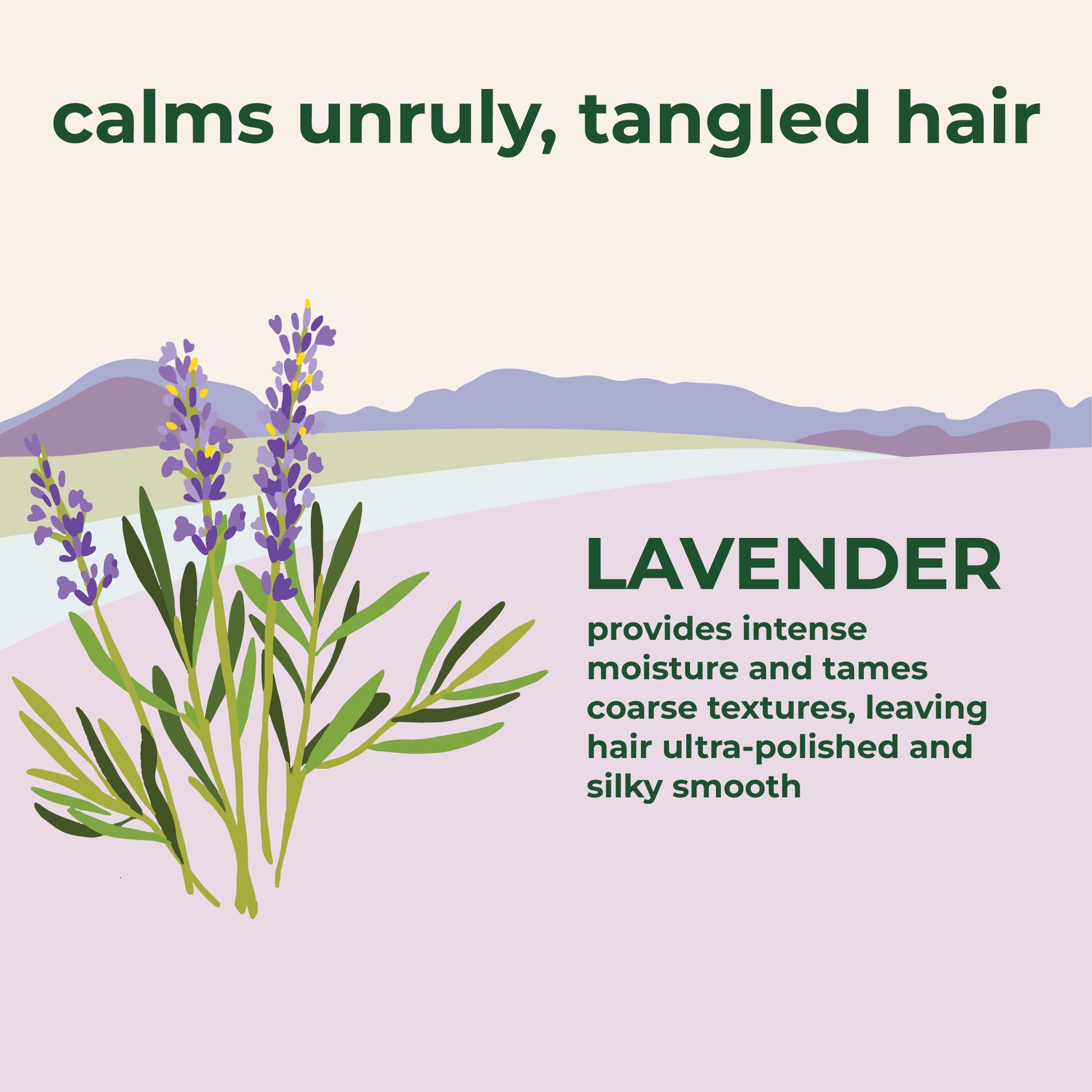 Petal Fresh Pure Anti-Frizz Shampoo with Lavender 4