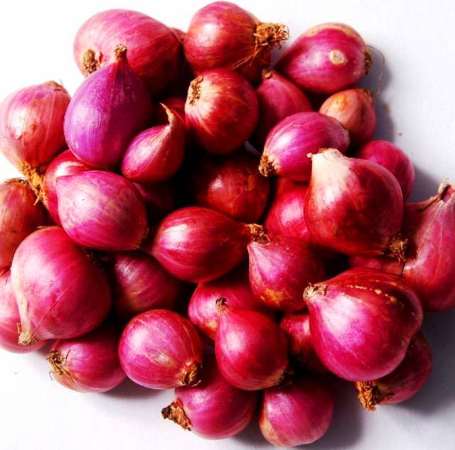  Ninufarm Benih Bawang Merah