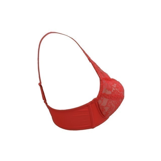 Two-way Bra 2