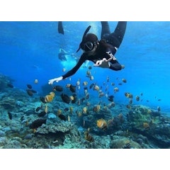One Day Tour Nusa Penida (West with Snorkeling)