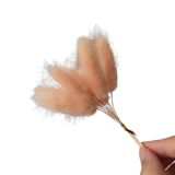 10 Rekomendasi Preserved Flowers Terbaik 1