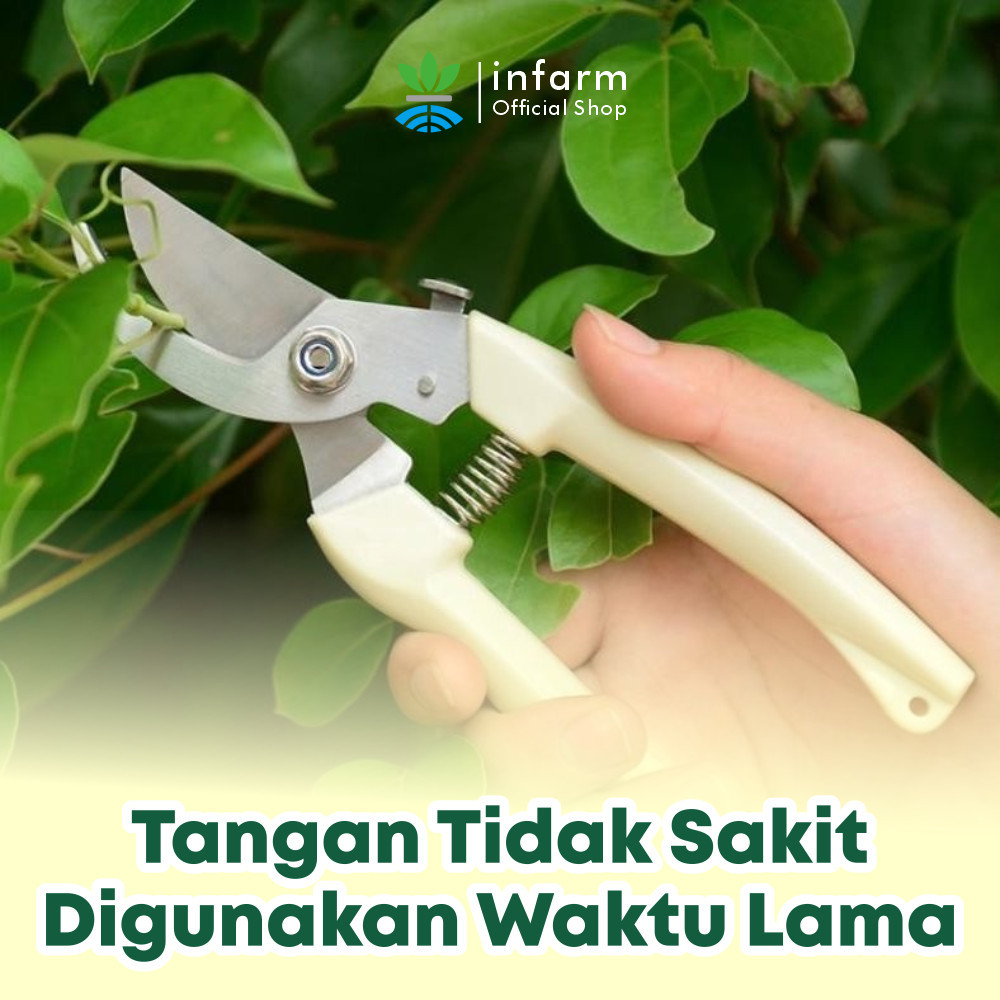 Infarm Stainless Steel Pruning Shears 5