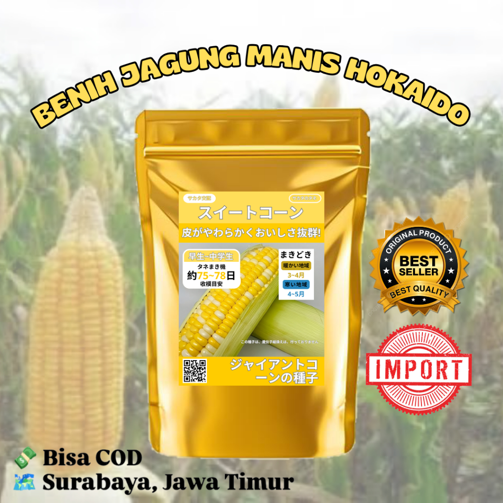 Benih Jagung Manis Hokaido 2